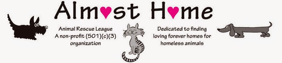 Cat And Dog Chat With Caren Almost Home Animal Rescue Is One Of Many Michigan Animal Shelters Participating In The Best Friends Animal Society The One Promotion Offering National 10 Pet Adoptions