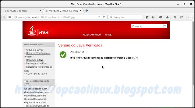 Versão do Java Verificada com sucesso! Versão do Java Verificada com sucesso!