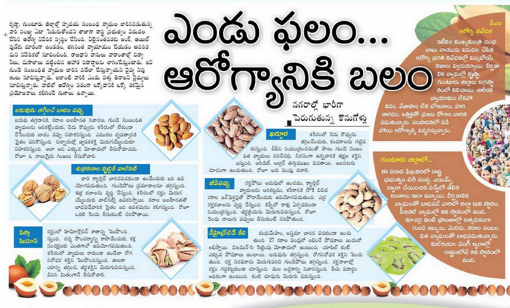 TELUGU WEB WORLD DETAILED ARTICLE ON DRY FRUITS AND ITS HEALTH