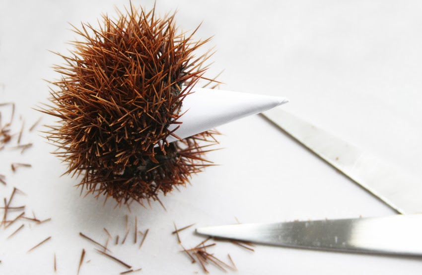 Manualidad: Erizo con cáscara de castaña5