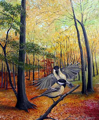 wallpaper zh: Naturalism pictures