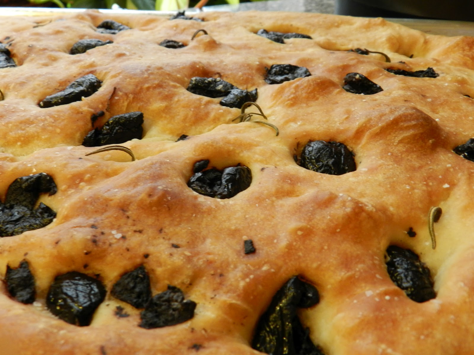 Pook's Pantry Flour, Salt, Water, Yeast