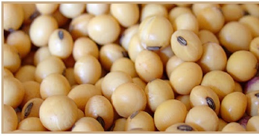 A Proteina Da Soja Faz Mal Para A Musculacao Saber Atualizado