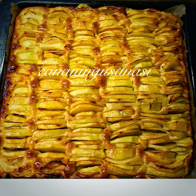 Elmalı Kek cananınguşanası