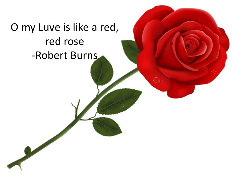 "A red red rose" Robert Burns