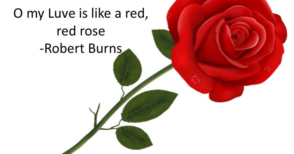mærke MP tryk A red red rose" - Robert Burns