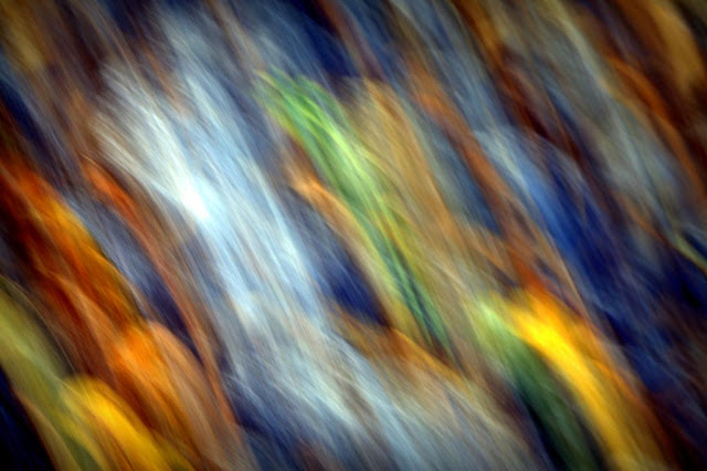 motion photography, abstract image with many colours 