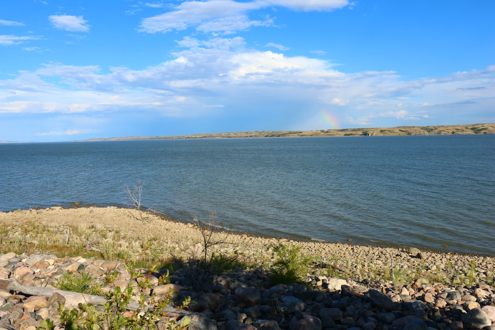 Travels with Twinkles Williston, North Dakota