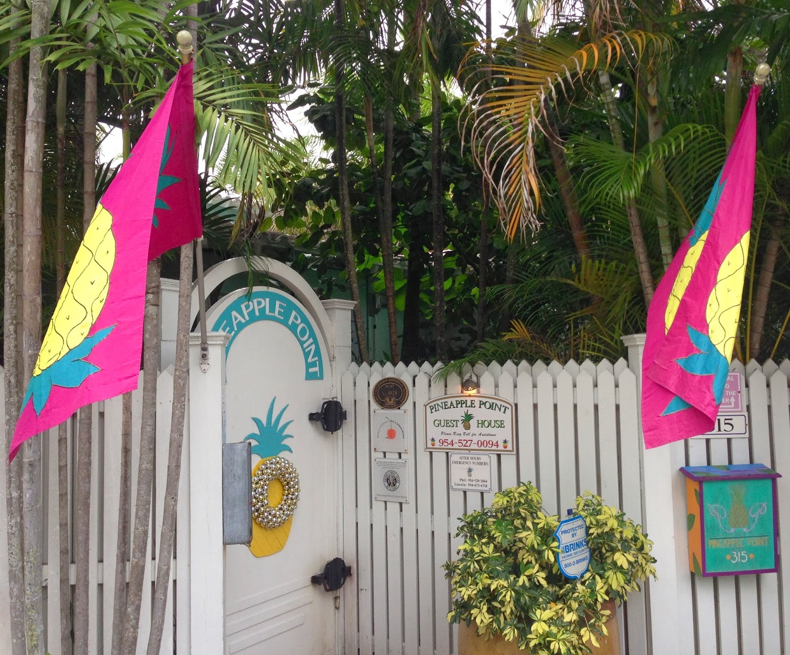 Guy Dads The golden fruit of hospitality Pineapple Point