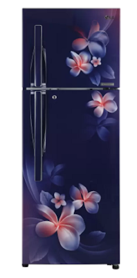  LG Frost Free 284 L Double Door Refrigerator (GL-T302RBPN.ABPZEBN)