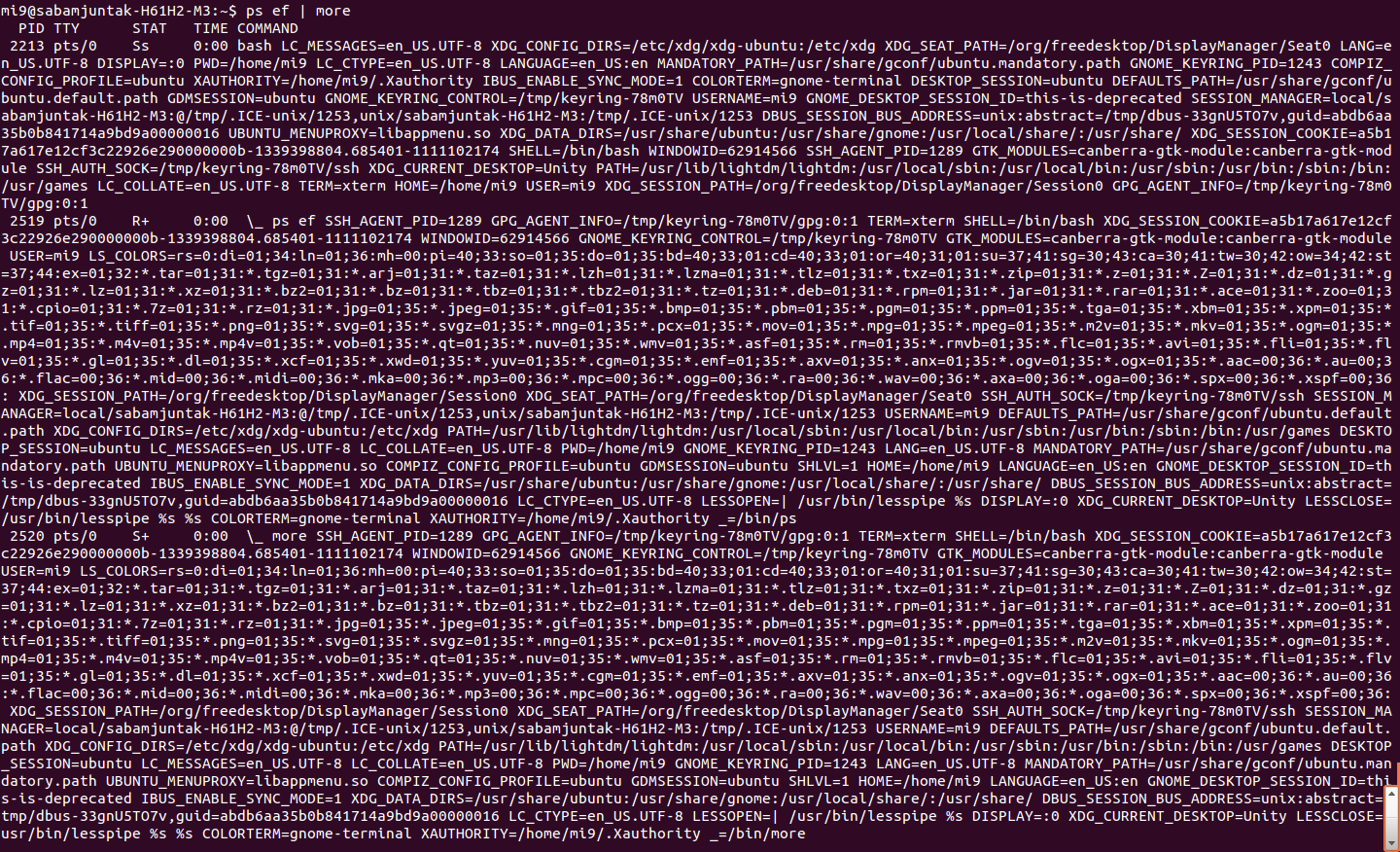 Xdg linux. Xdg linux