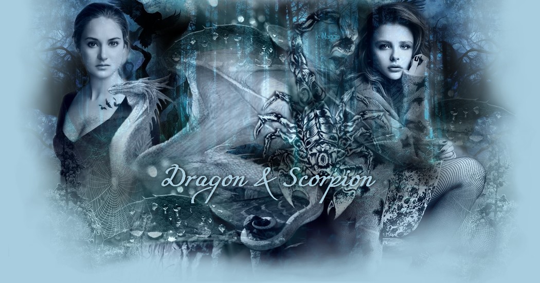 Dragon & Scorpion