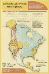 Wild Lands Map1