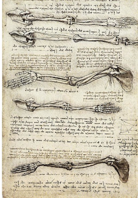 Anatomia na vida de Leonardo Da Vinci