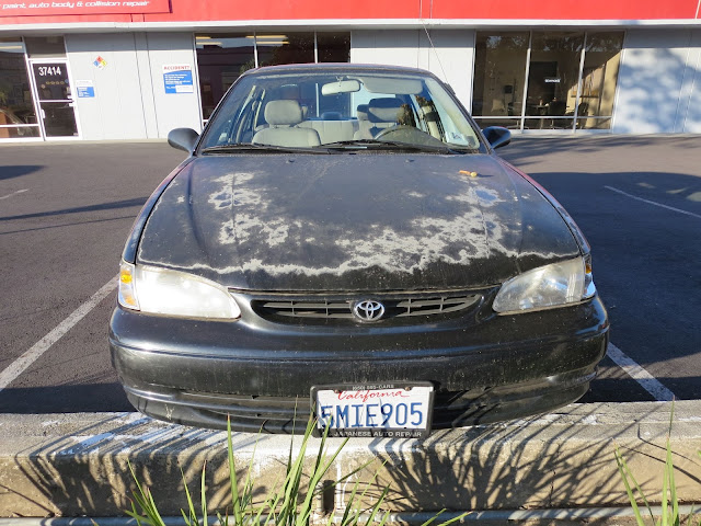 Toyota Corolla with peeling paint before repairs at Almost Everything Auto Body