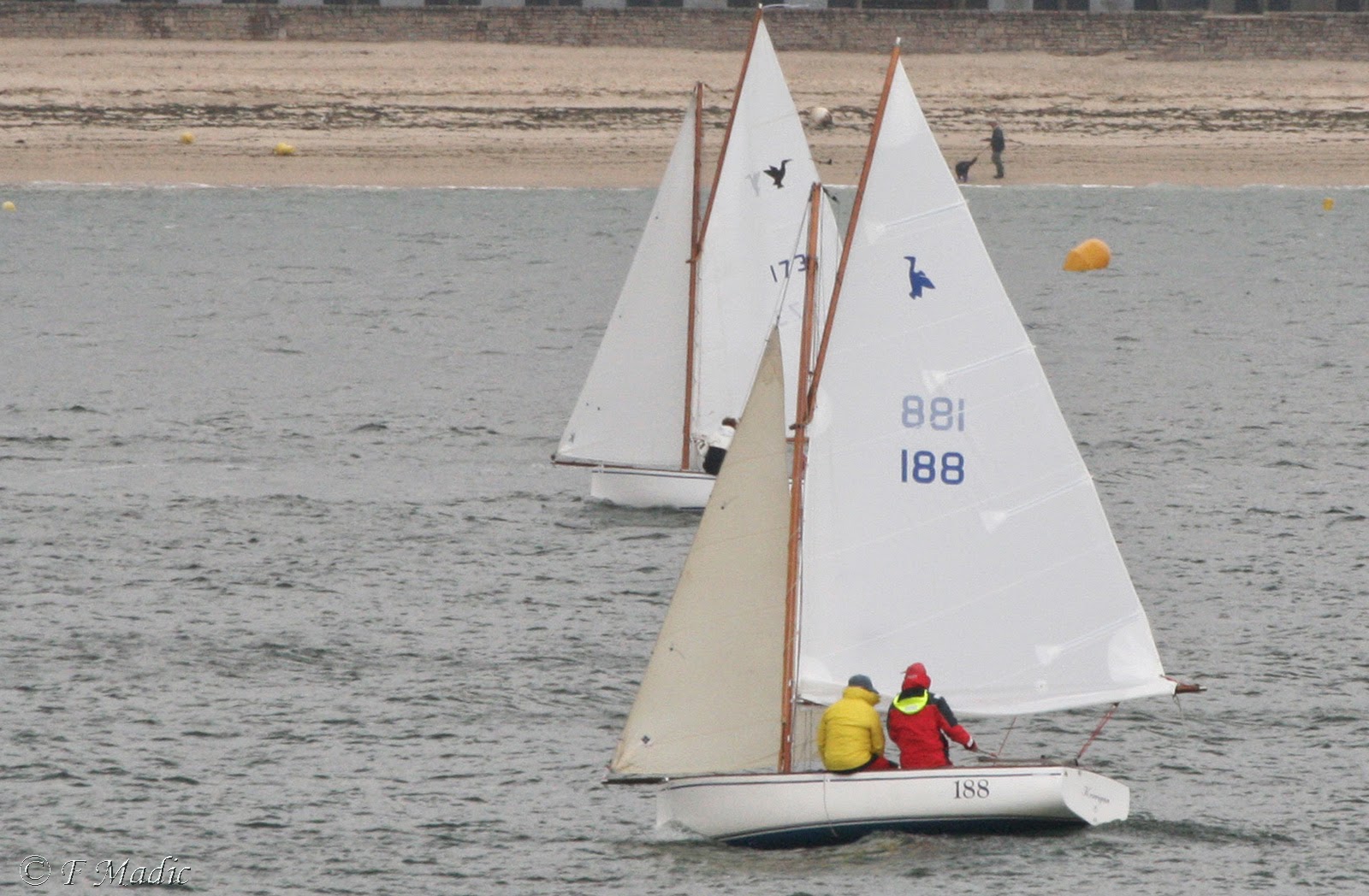 séries et classes de voiliers CORMORAN