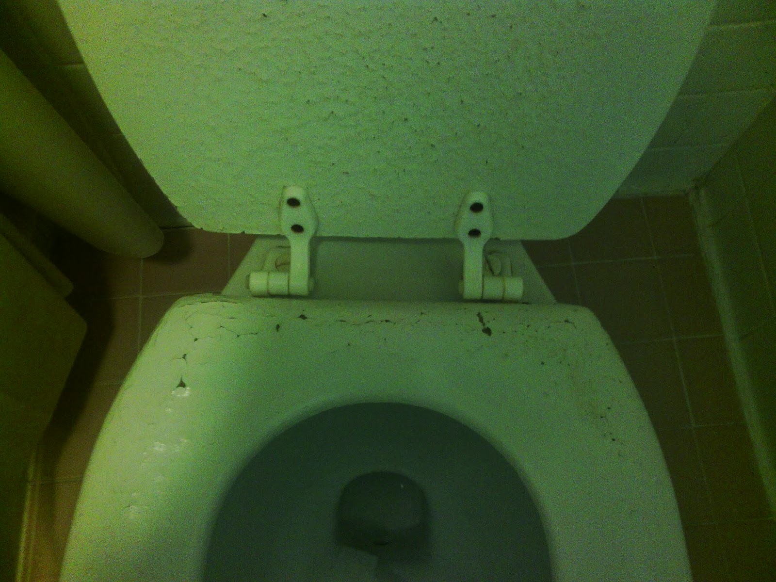 Cale's Random Musings & Adventures Rodeway Inn, 210 Asheville Highway