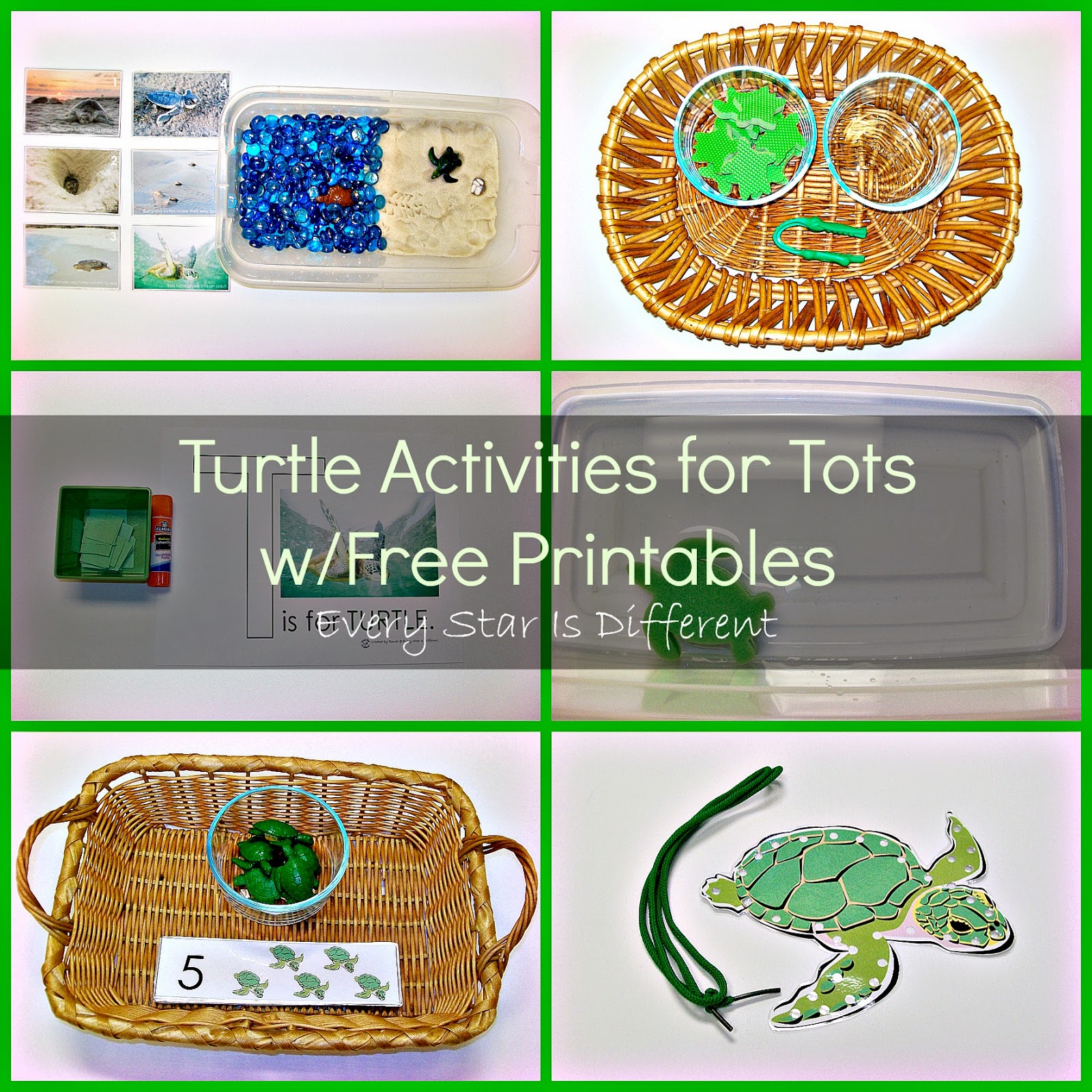 Sea Turtle Activities for Tots & Preschoolers