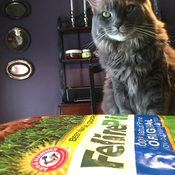 Dishfunctional Designs Moving Closer To Nature With Feline Pine