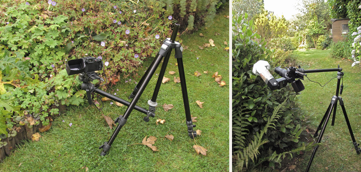 Flies and Flowers Tripod, monopod, steadying sticks