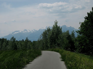 Biking through the forest, getting closer to the Alps, near Feldkirch, Austria