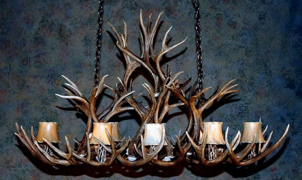 Do you dare to put the horns?