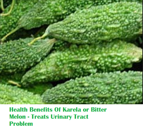 Health Benefits Of Karela or Bitter Melon - Treats Urinary Tract Problem