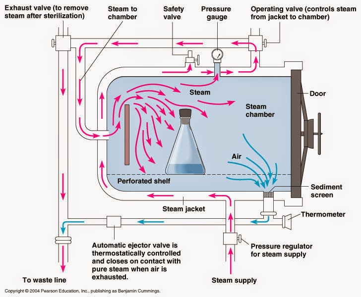 Autoclave funcionamiento