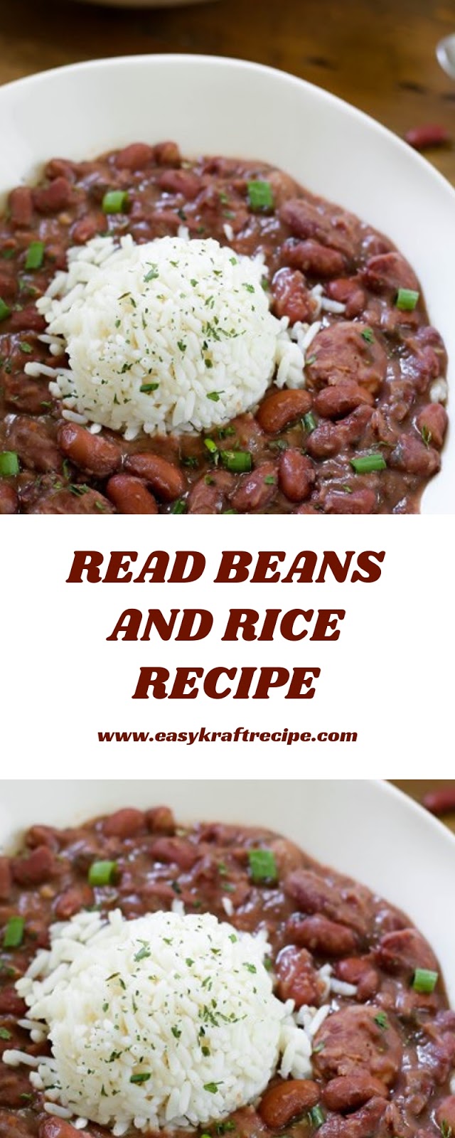 READ BEANS AND RICE