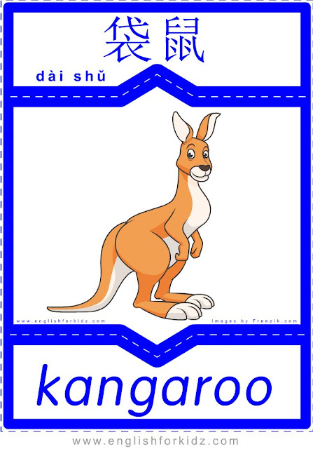 Kangaroo - English-Chinese flashcards for wild animals topic