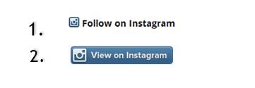 instagram follow button for blog website 