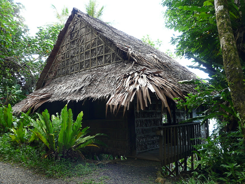 Tansy's Garden Micronesia Pohnpei