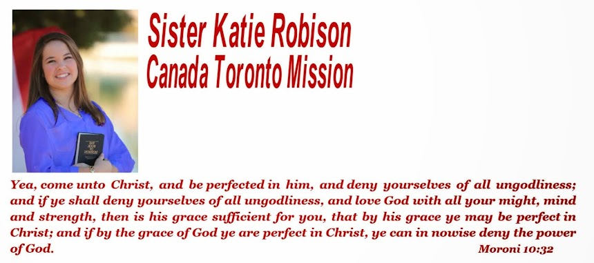 Sister Katie Robison's Missionary Blog