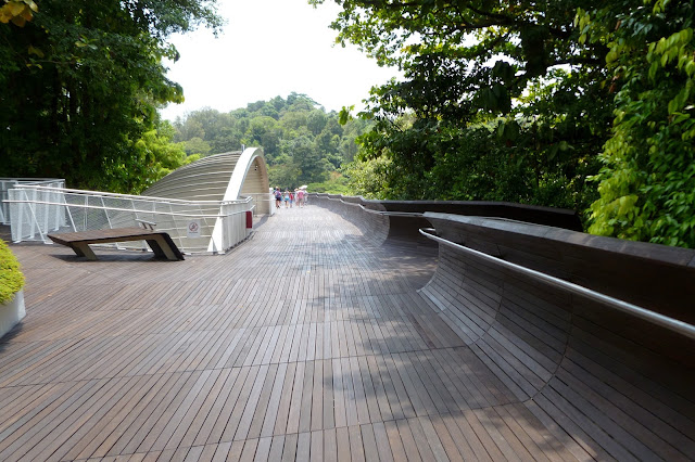 Drewniany most w Singapurze Southern Ridges Walk