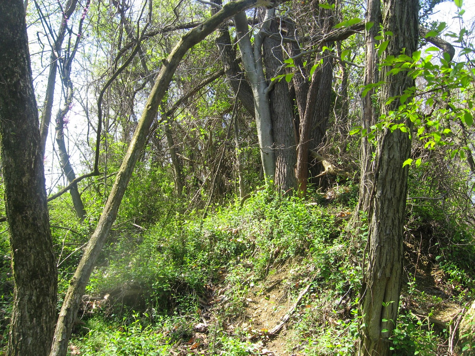 DouglassRiverview News and Current Events "The Enchanting Clay Hill