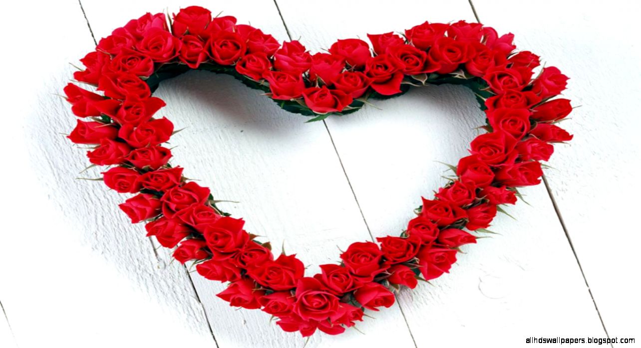 50 Beautiful Red Rose Images To Download