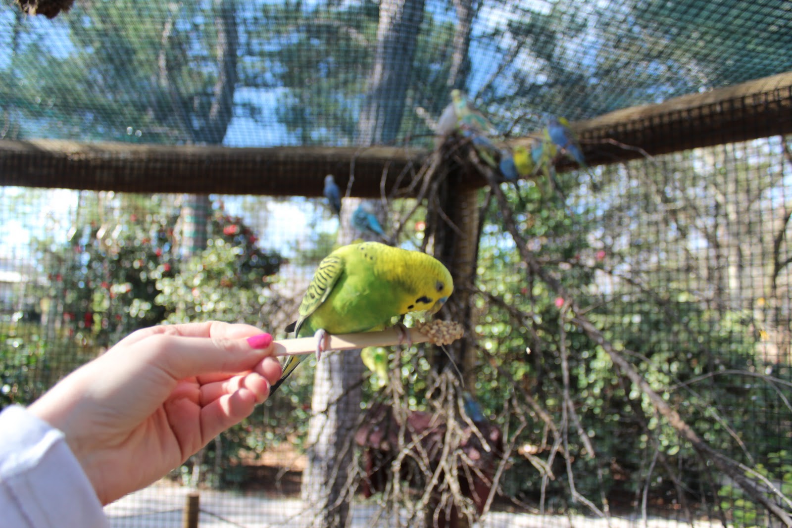 Family fun in Pensacola The Gulf Breeze Zoo!