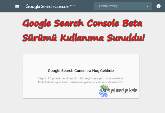 Google Search Console Beta