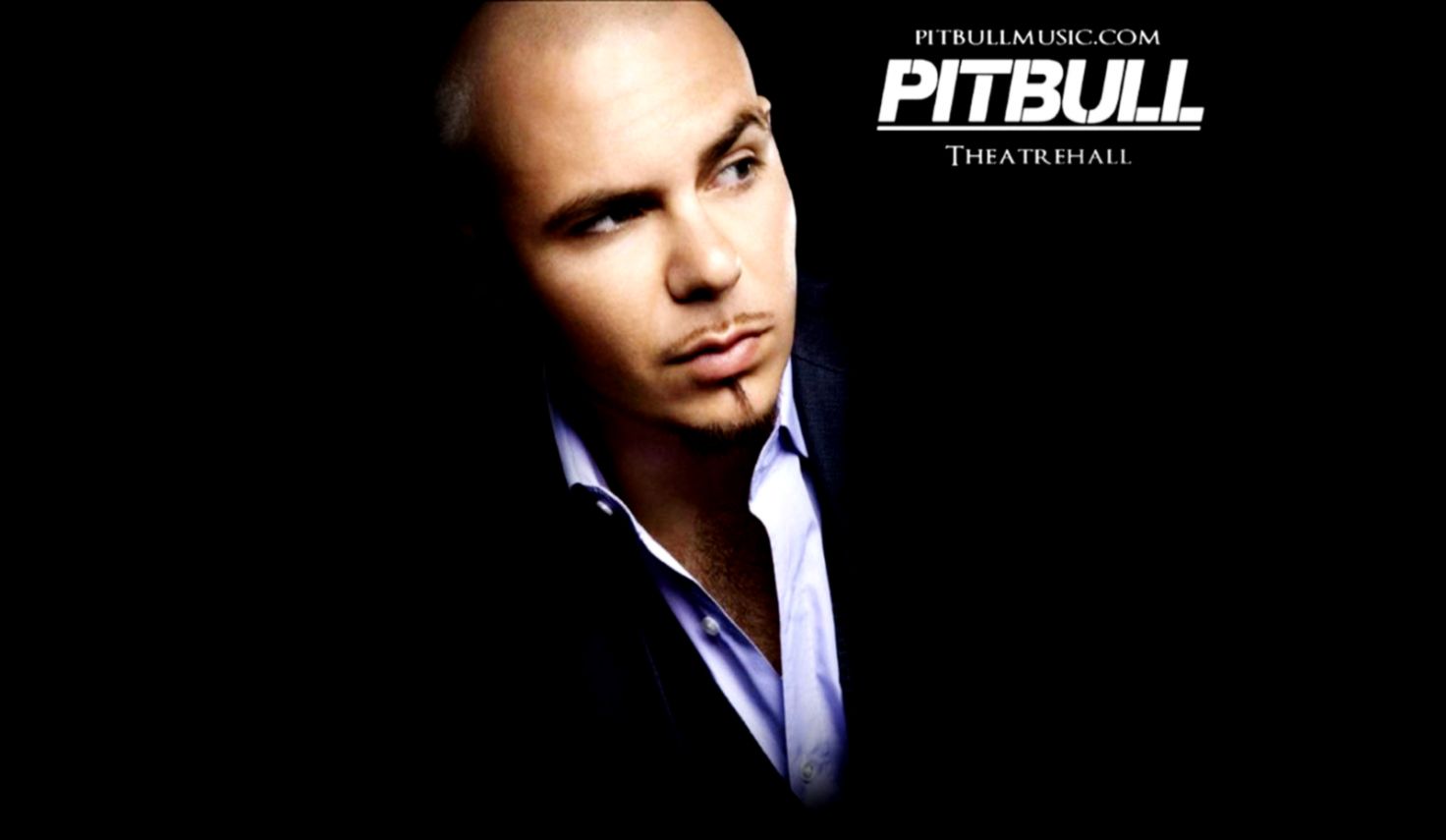 Pitbull Rapper