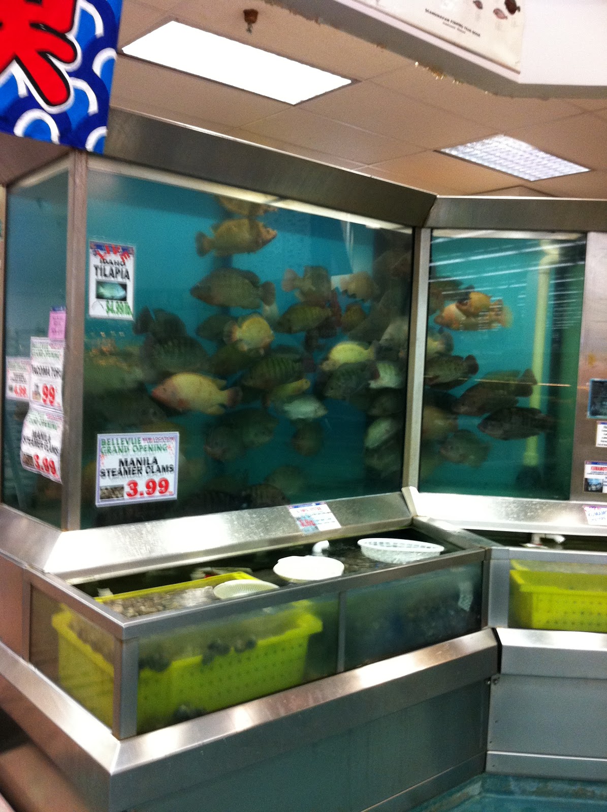 Let's go to Chinatown Is the Seafood Safe at Uwajimaya?!