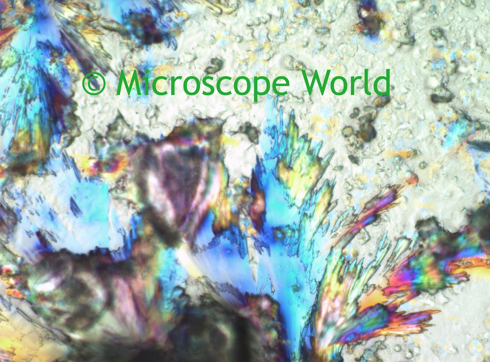 Microscope World Blog Fluoboric Acid Under Microscope