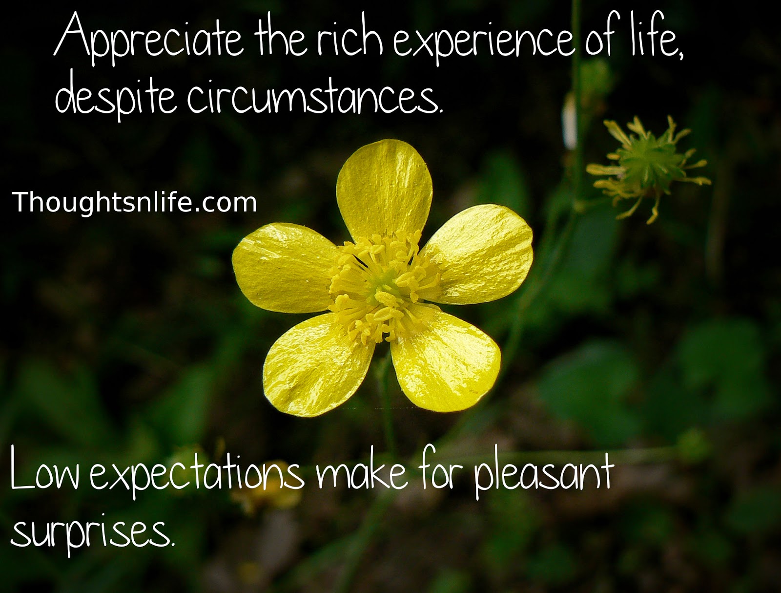 Appreciate the rich experience of life, despite circumstances. Low expectations make for pleasant surprises. #life #lifequotes #enjoylife #grattitude