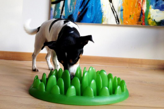 northmate slow feeder