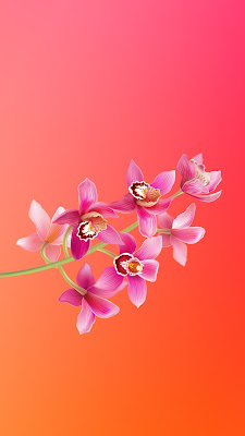 Wallpapers iPhone 8 Plus - Pack 8