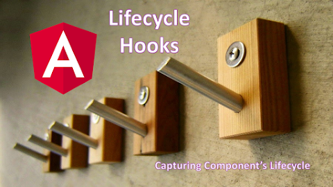 Life Cycle Hooks