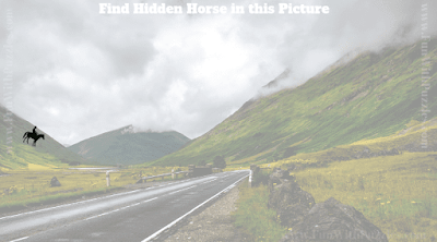 This is the answer for picture puzzle in which one has to find the hidden horse