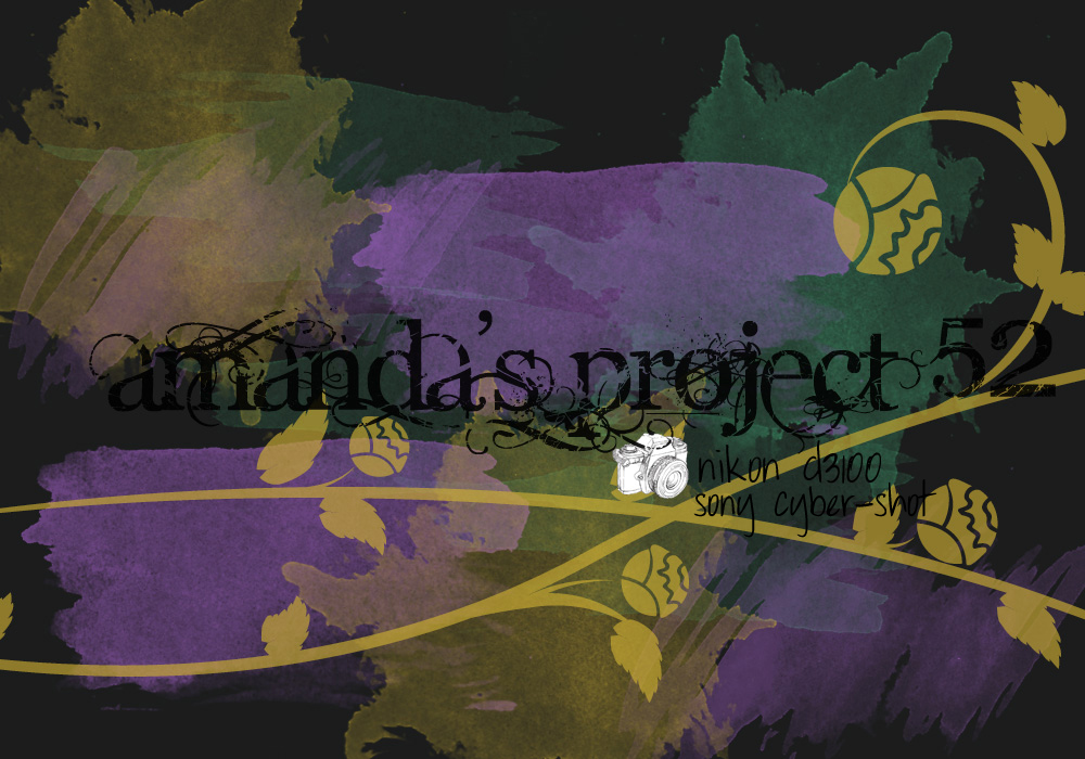 Amanda's Project 52