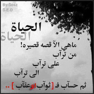 413_moso3a.net.gif