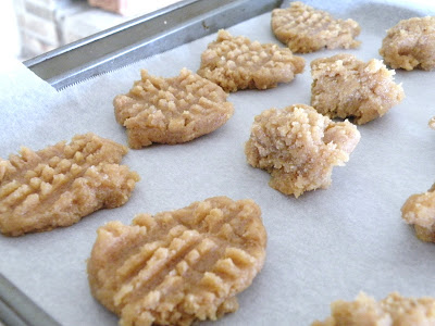 Super Easy Ketogenic Peanut Butter Cookies (Low Carb, keto, Gluten Free) - sugar free cookies, keto cookies, low carb cookies, low carb peanut butter cookies, flourless peanut cookies