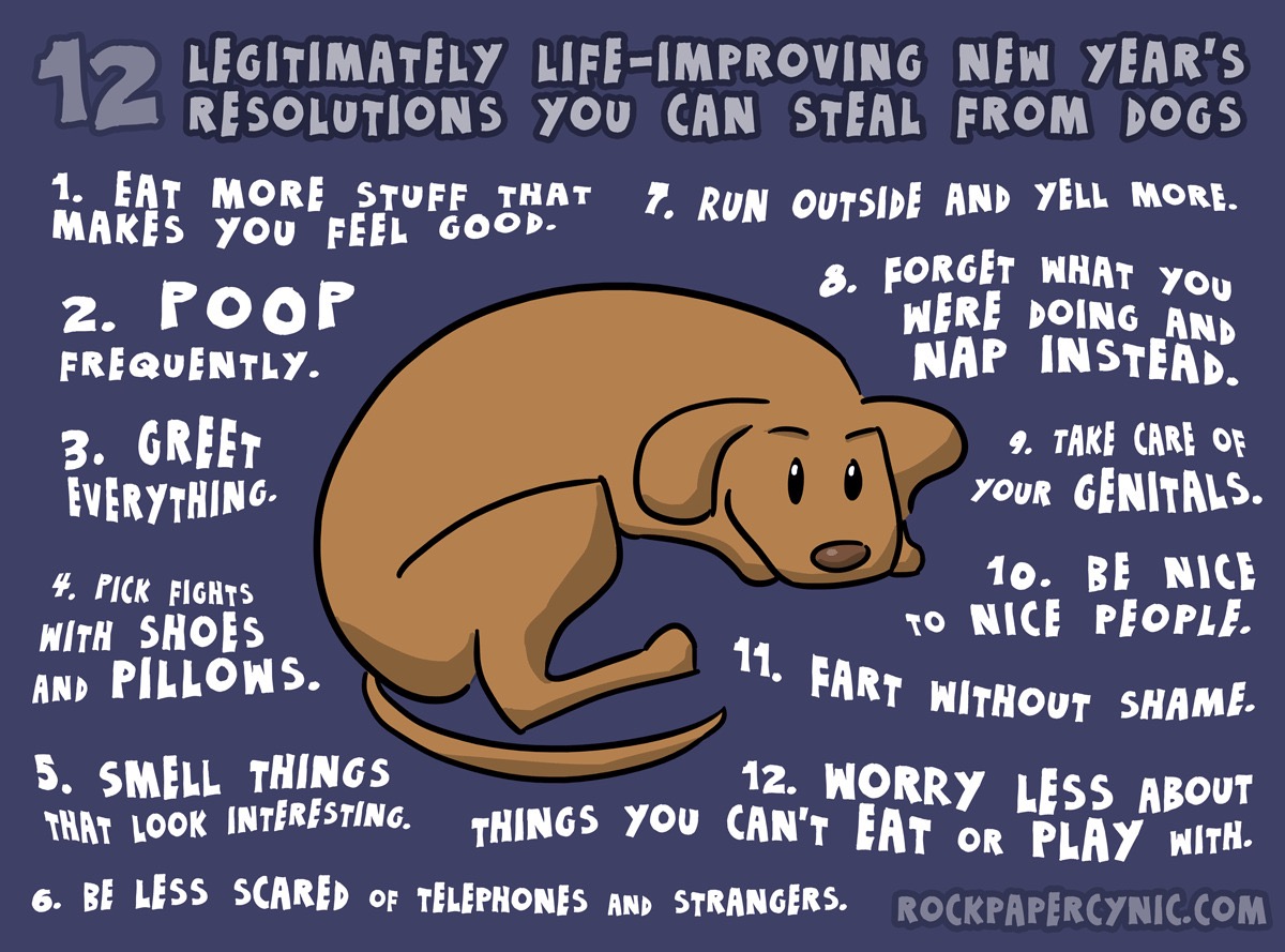 Terrierman's Daily Dose Good Advice from the Dog